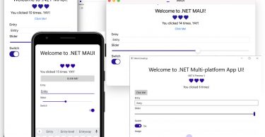 Maui windows