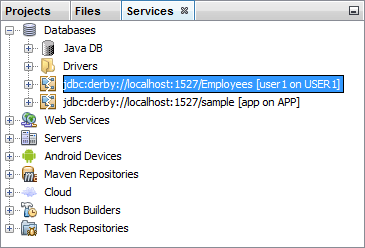 services_database_item5 The database showing on the Services list