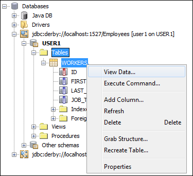 services_databases4 The View Data item